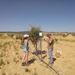 gestion inteligente de agua
